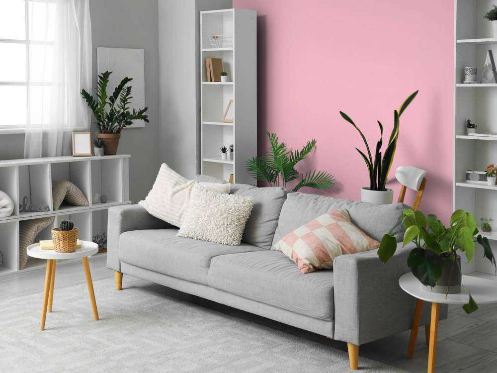 Cameo pink