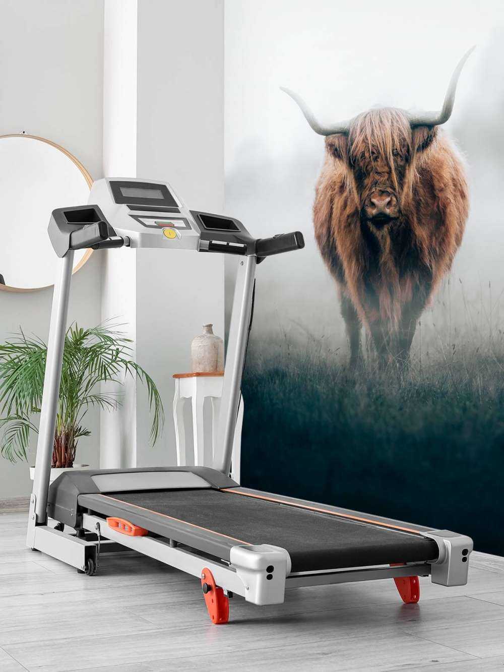 Skotsk højlænder i tæt tåge