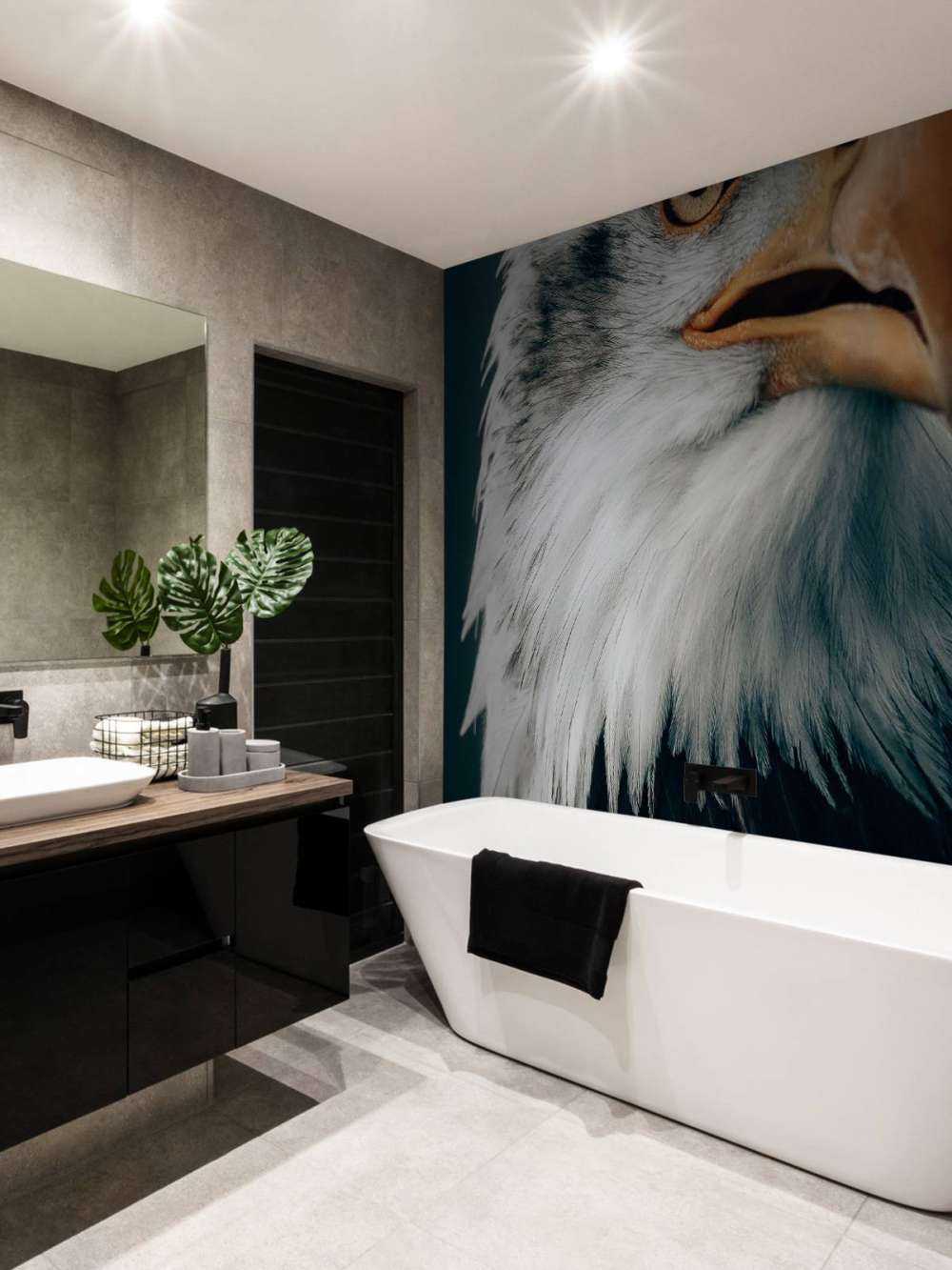 Stirrende Bald Eagle