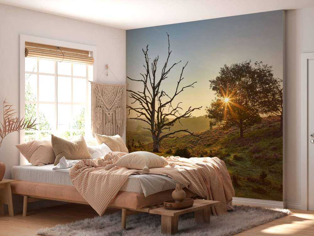 Oppgående sol på heia