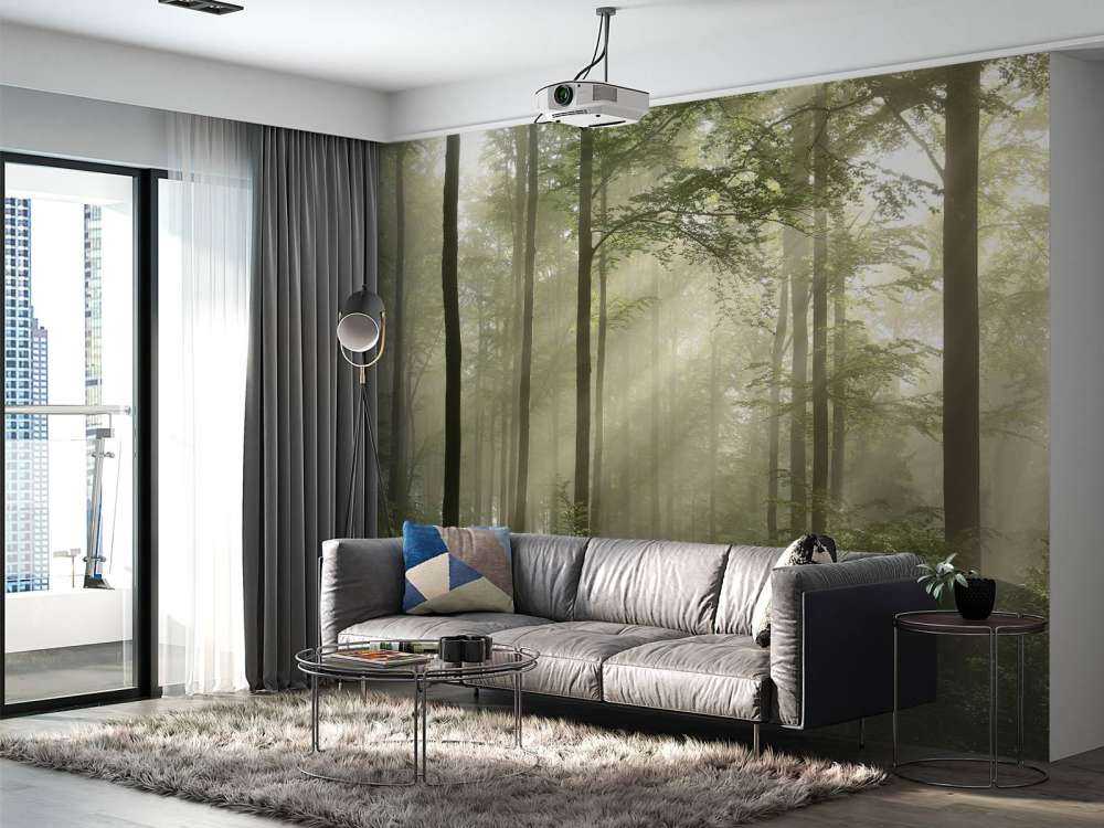 Grønn skog i tåken