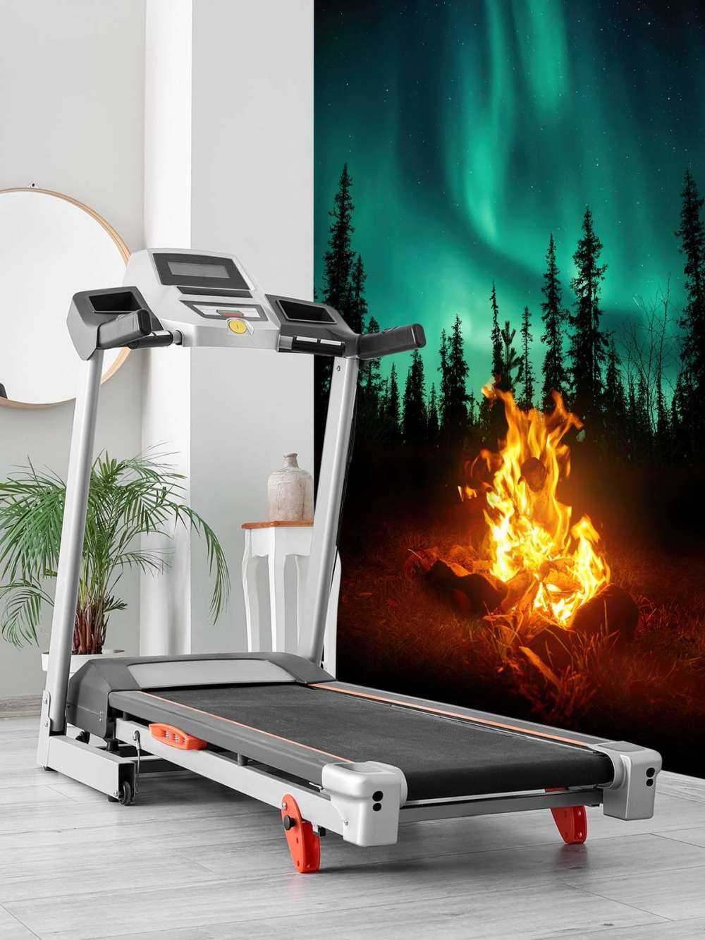 Bål under nordlyset