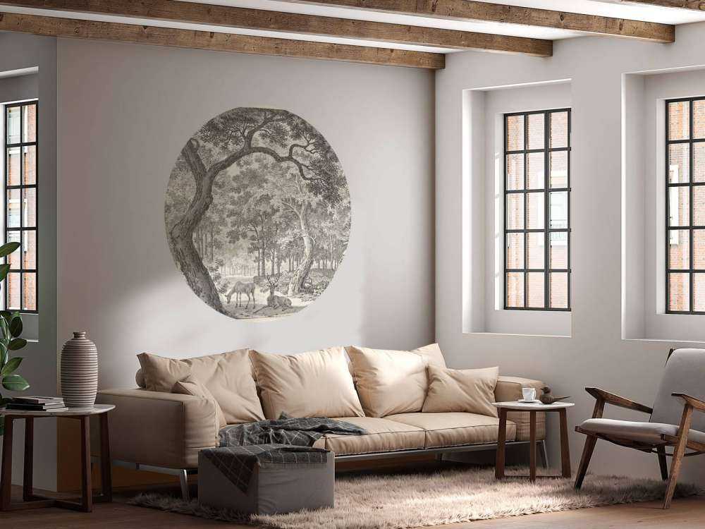 Skogsutsikt med to hjort