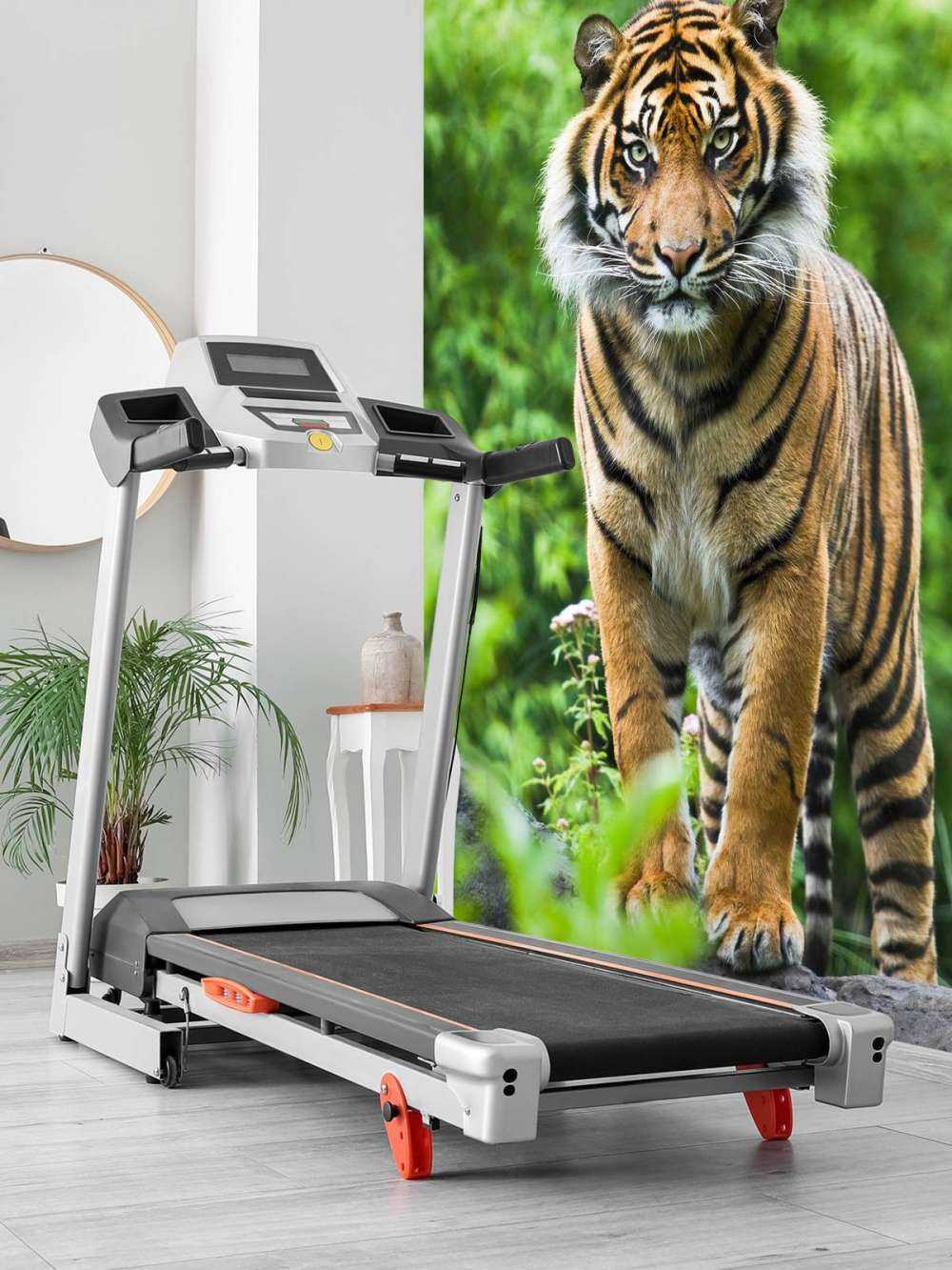 Tiger som står på en stein