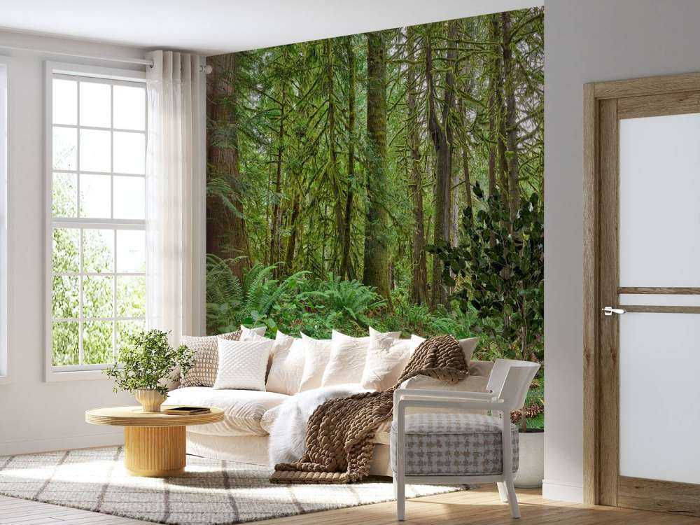 Sti med steiner gjennom skogen