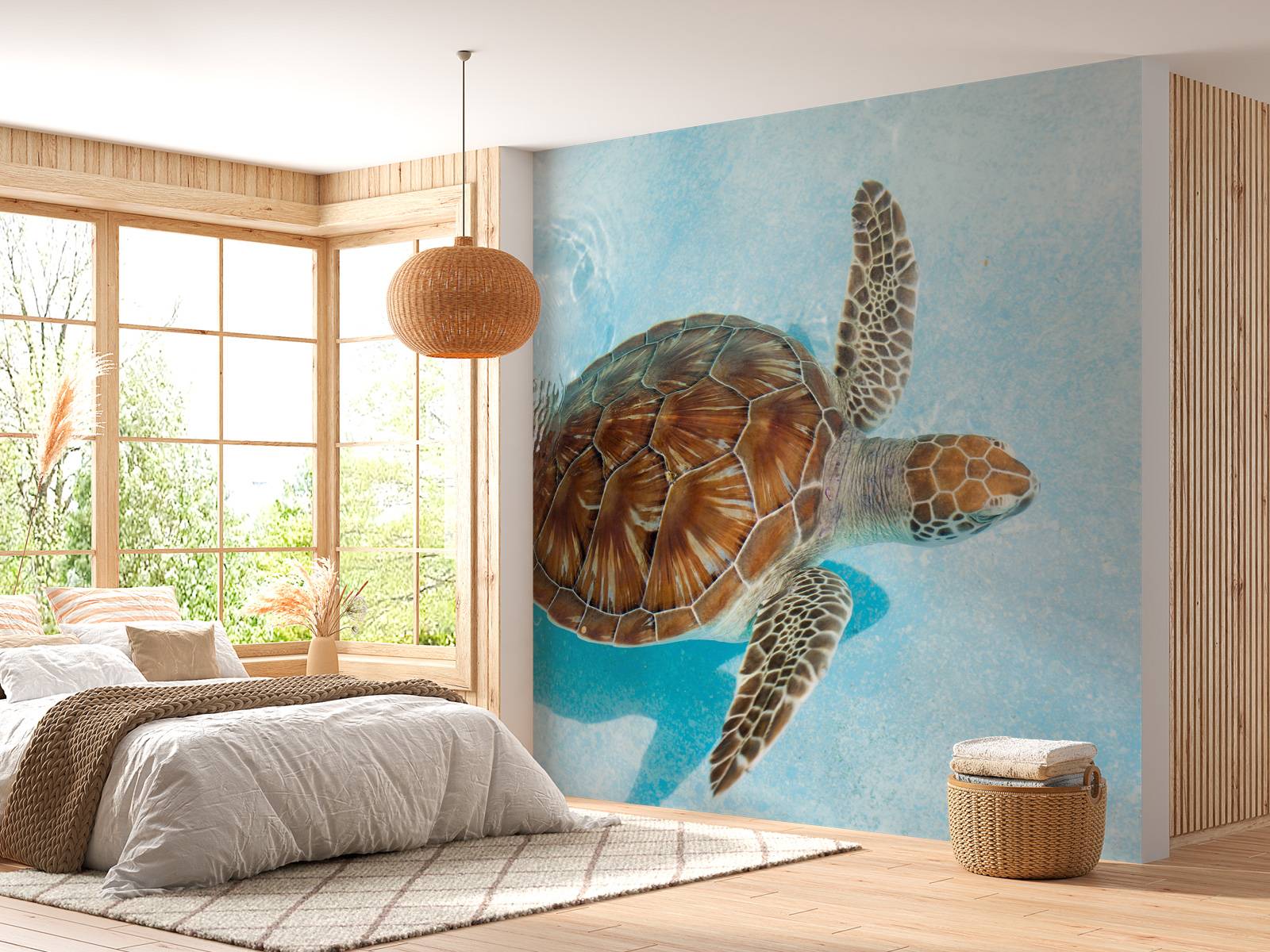 Fototapet - Skilpadde i vannet - Tapet.com, image size:1600x1200