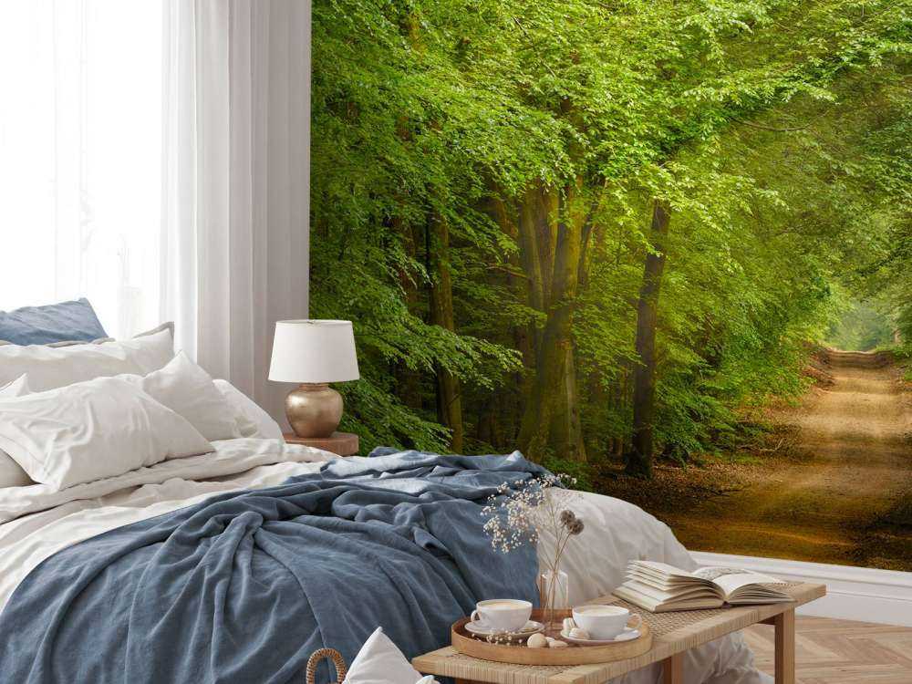 Padde i skogen med solstråler