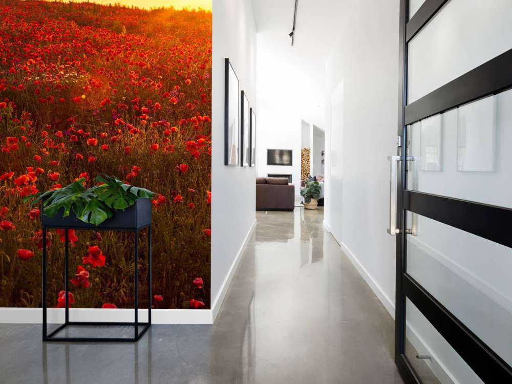 Valmuer på en høyde