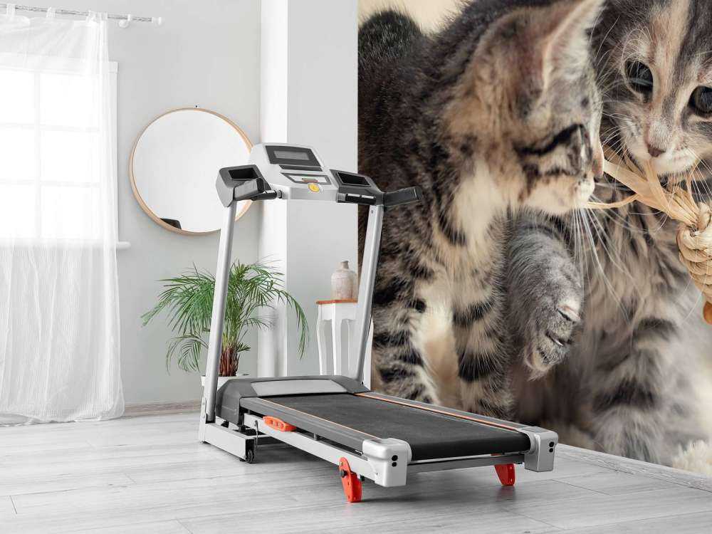 Leker kattunger