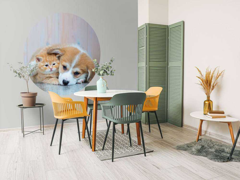 Kat tapet. Bilde av en kattunge og en valp.