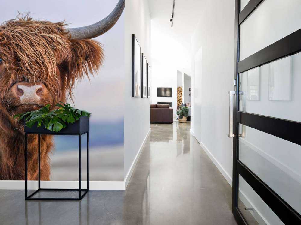 Stirrer det skotske høylandet