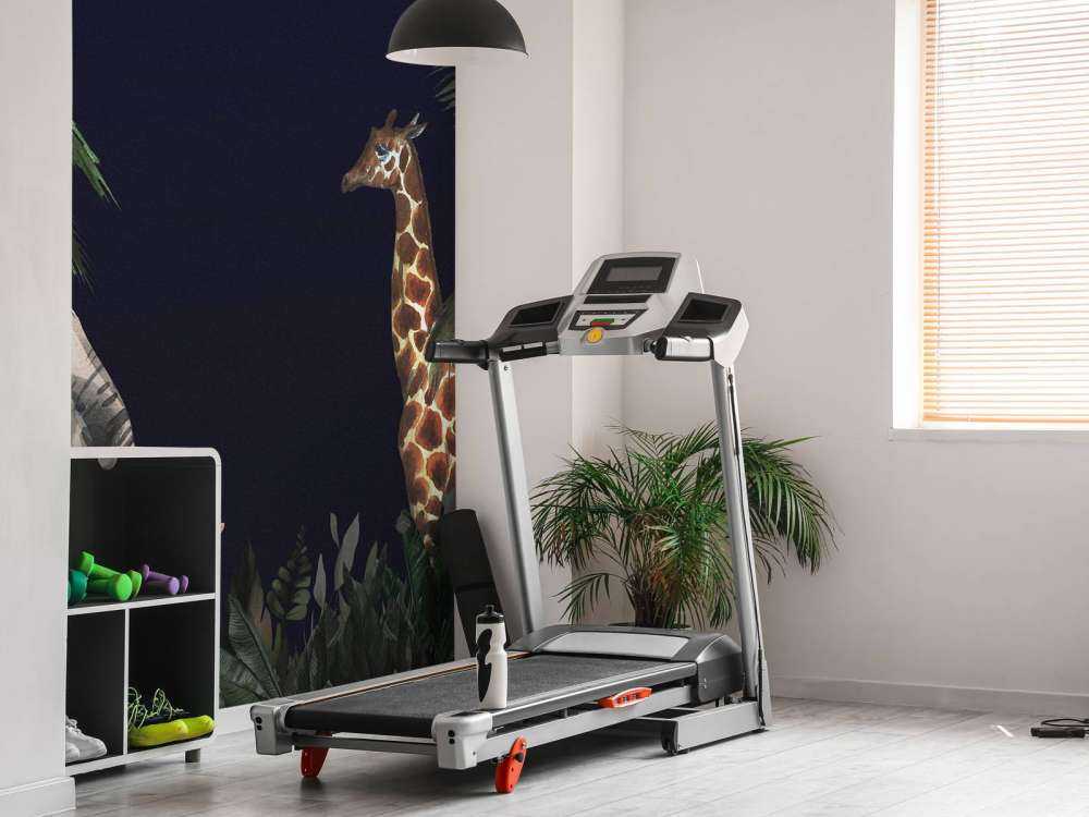 Jungeldyrr om natten