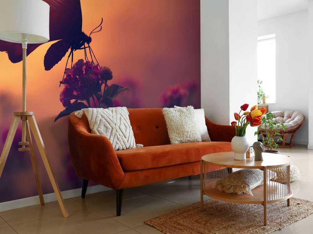 Sommerfugl med solnedgang