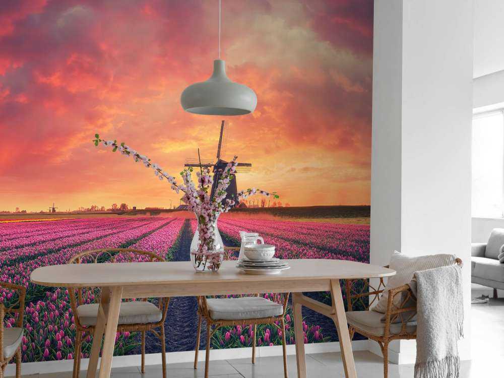 tulipanner med mølle