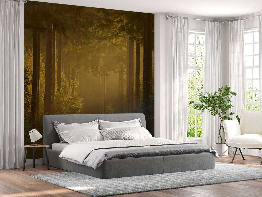 Soloppgang på vei gjennom skogen