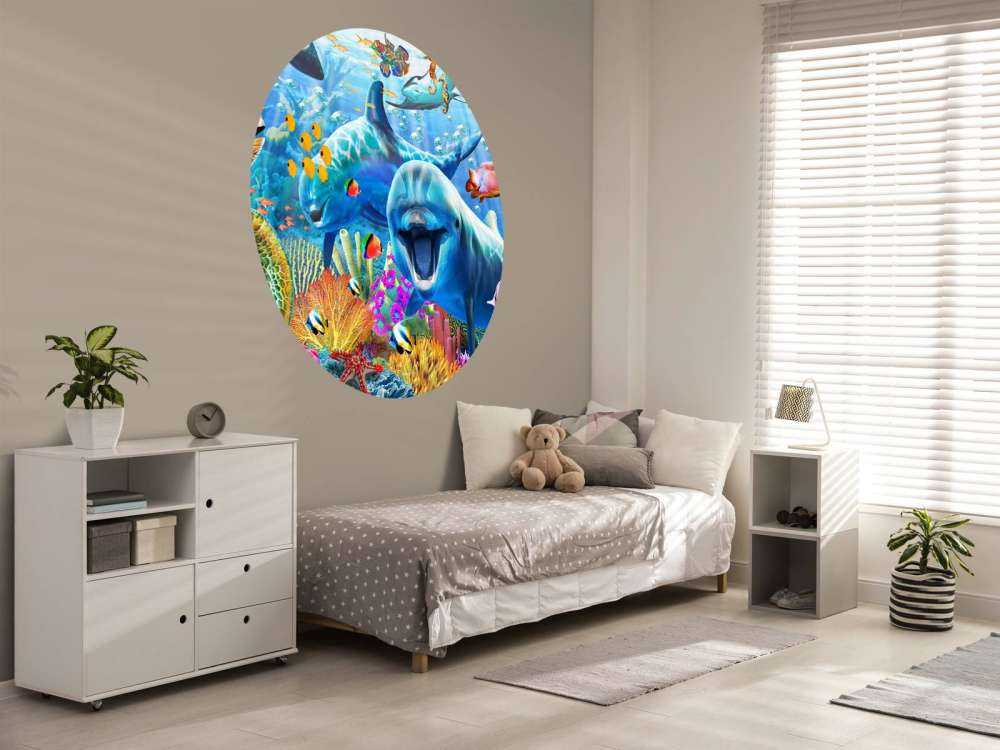 Underwater Fun Panorama