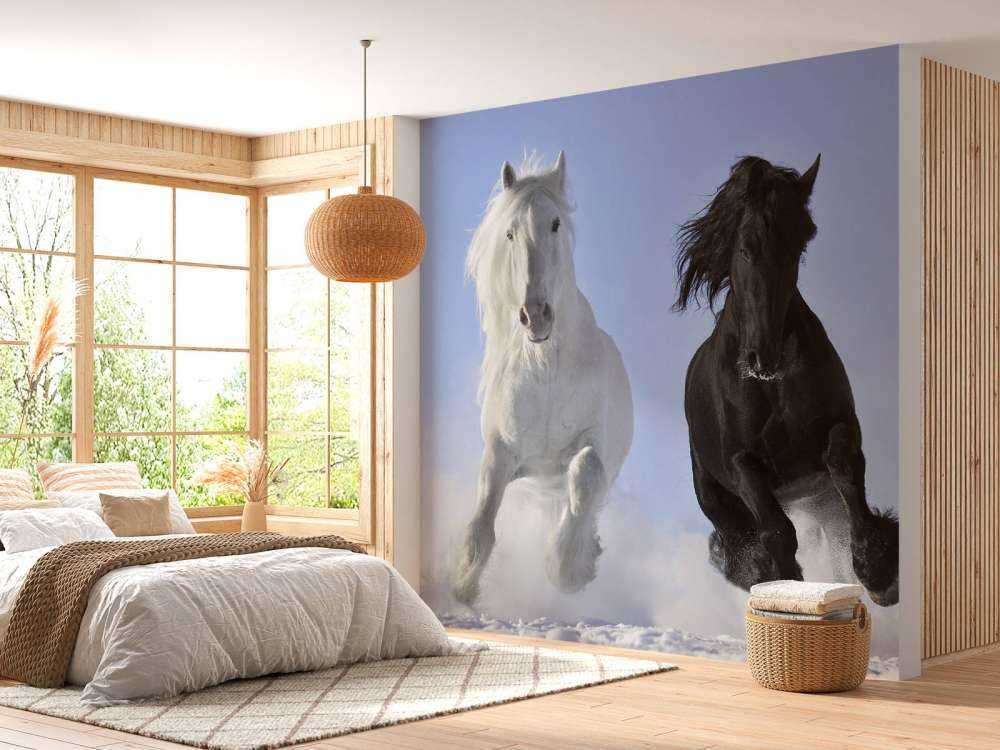 Hvit og en svart hest