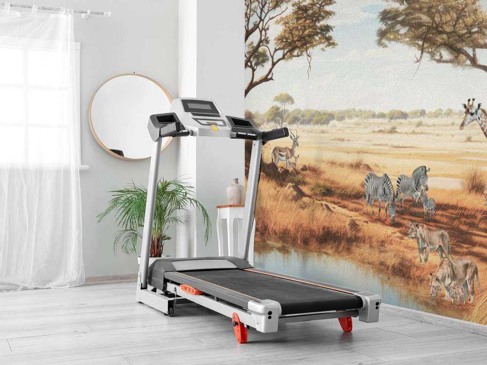 Safarilandskap i farger