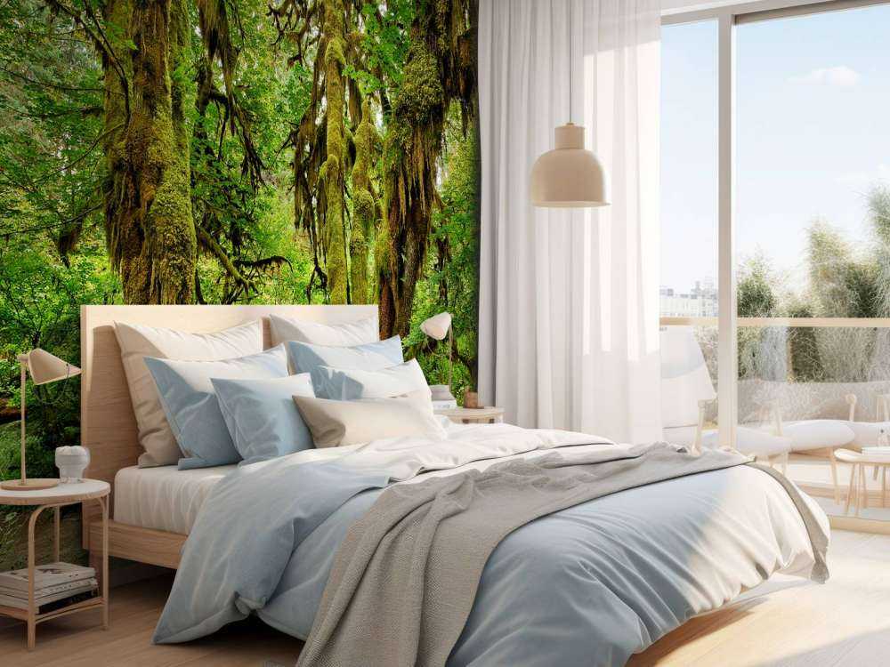 Gammal vildmarksskog