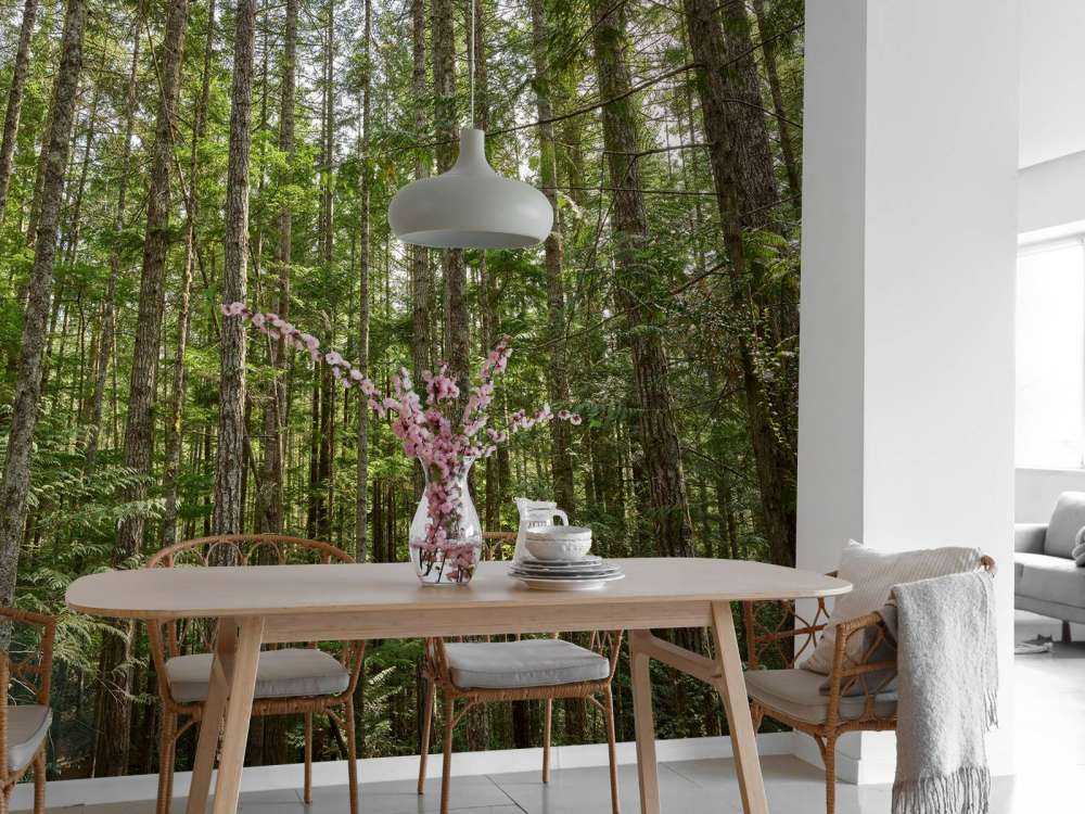 Tunna träd i skogen