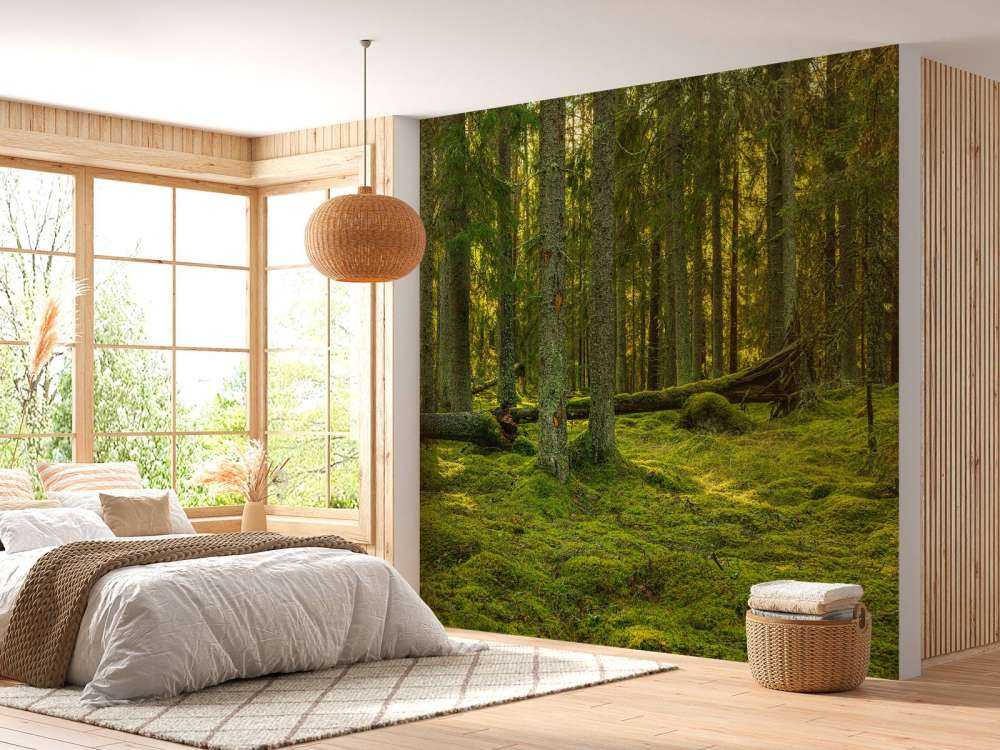 Grön tallskog