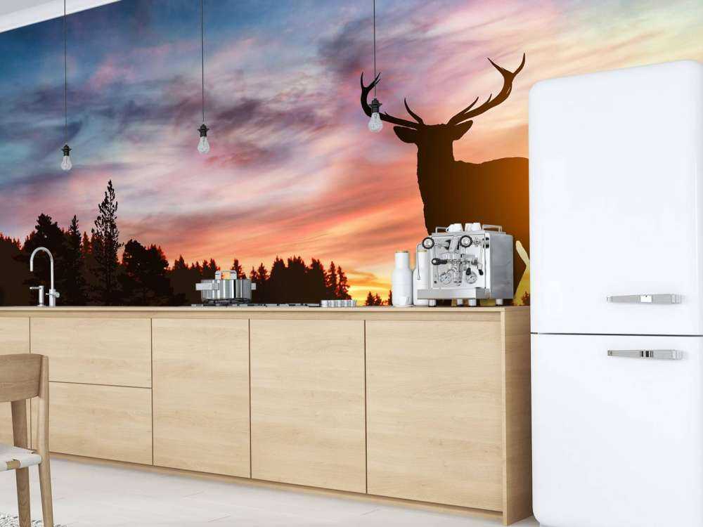 Rådjur i solnedgången