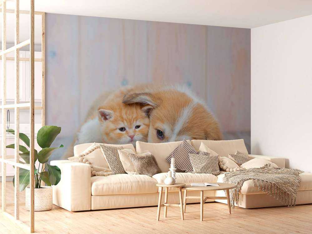 Katt tapet. Bild av en kattunge och valp.