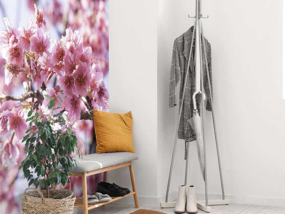 Närbildrosa blomning