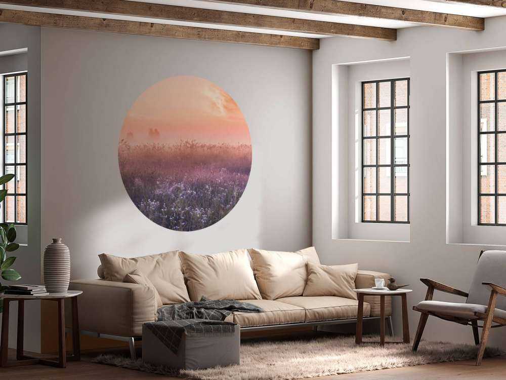 Fält med morgondimma