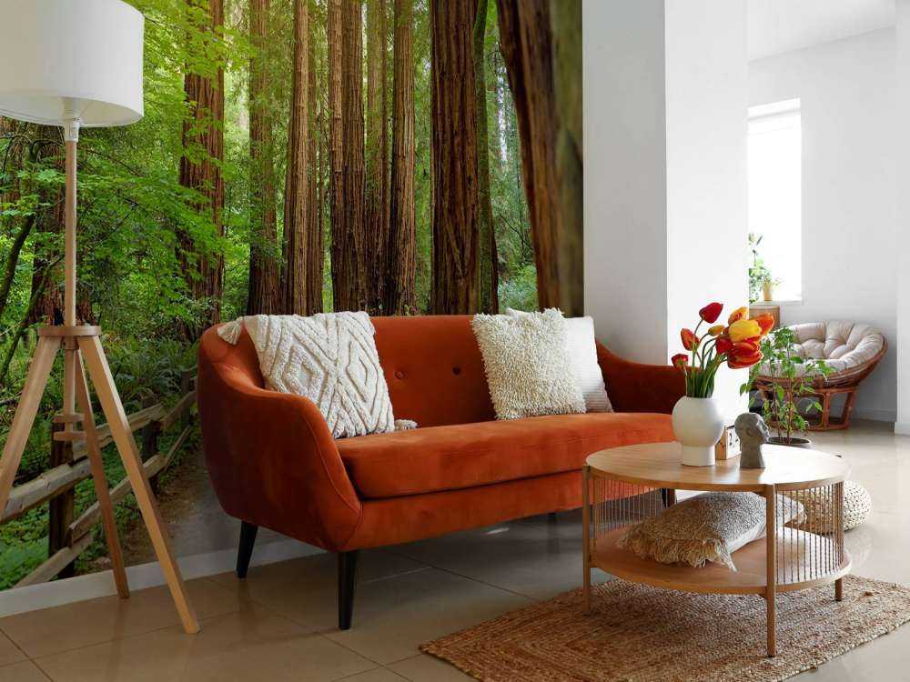 Höga träd parkerar in