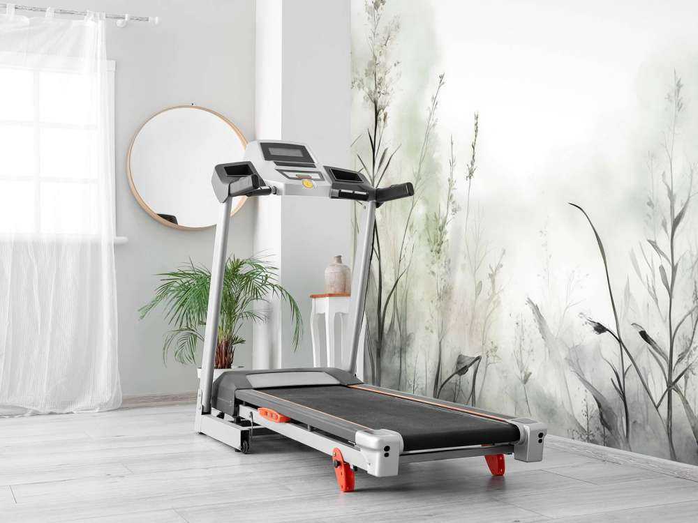 Morgon Tystnad Dimmig Vit