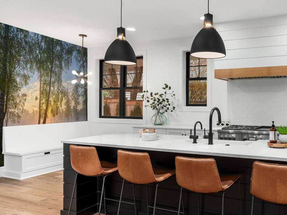 Soluppgång vid björkarna