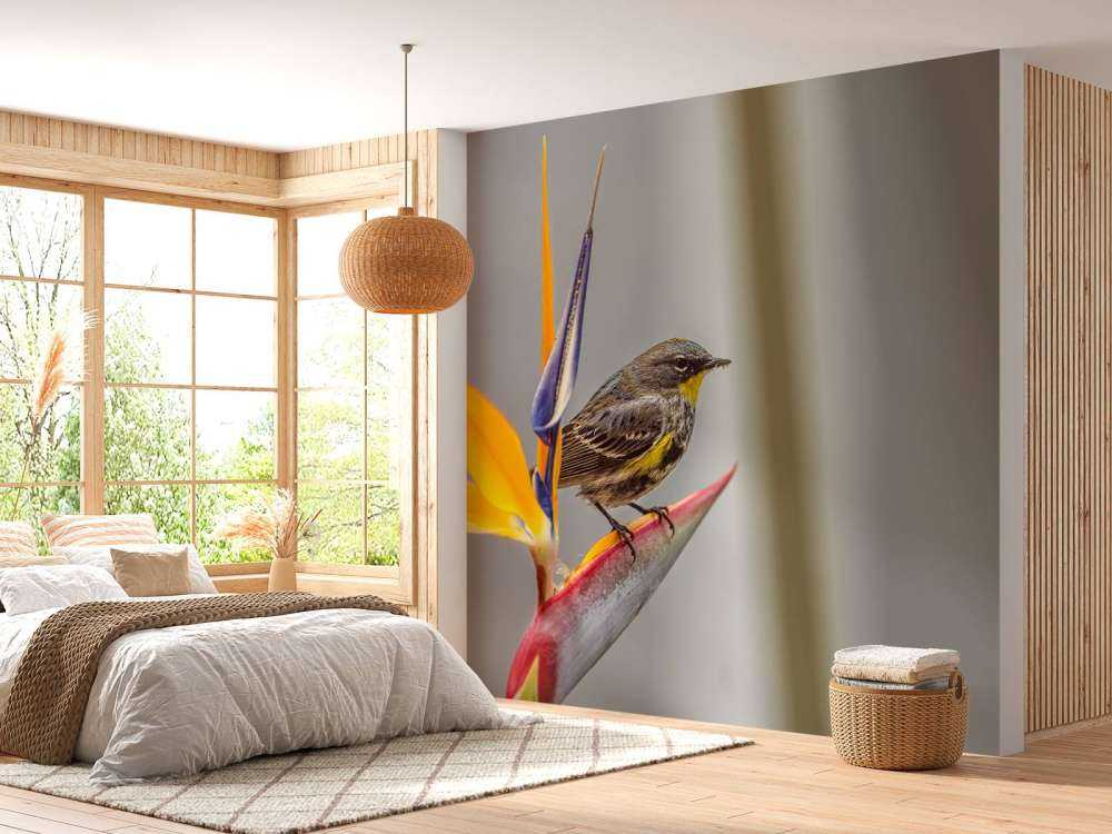 Paradisblomma med fågel