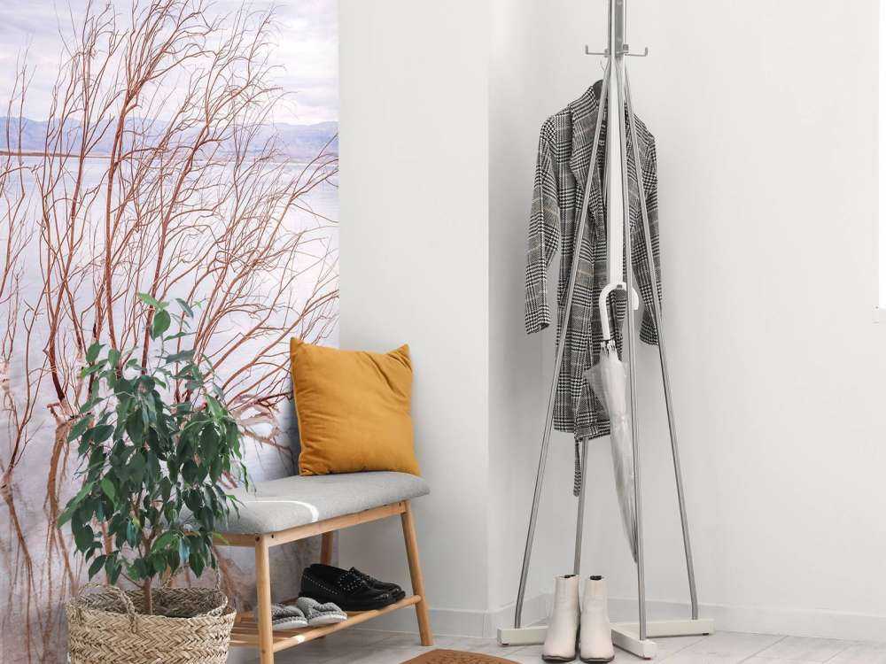 Grenar i Döda havet