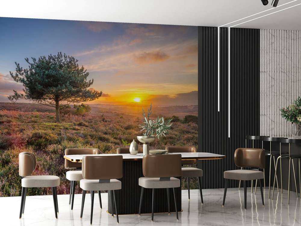 Solnedgång på heden