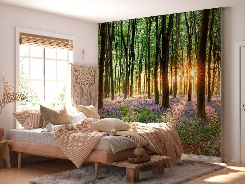 Skogsstig i soluppgång