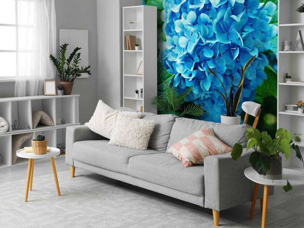 Hortensia i vatten
