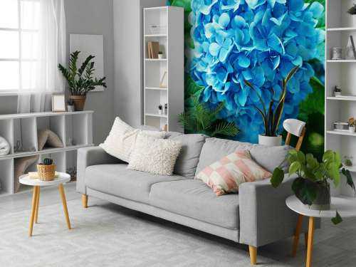 Hortensia i vatten