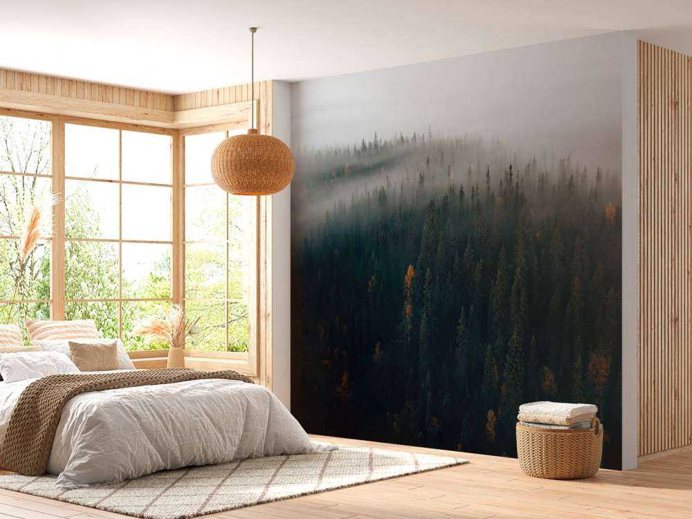 Dimma skog