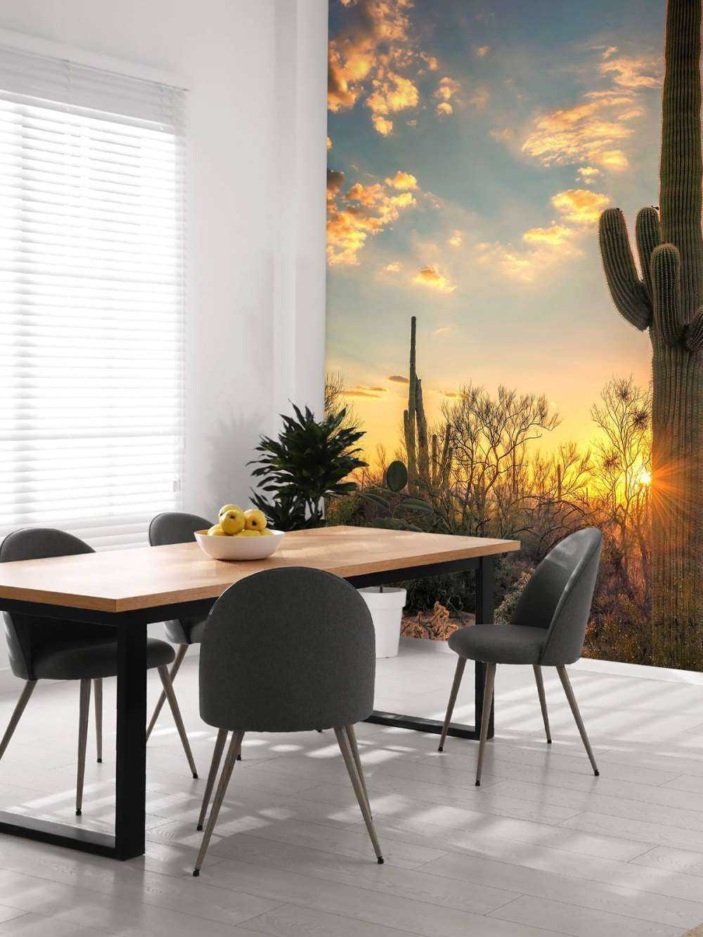 Kaktus vid solnedgången