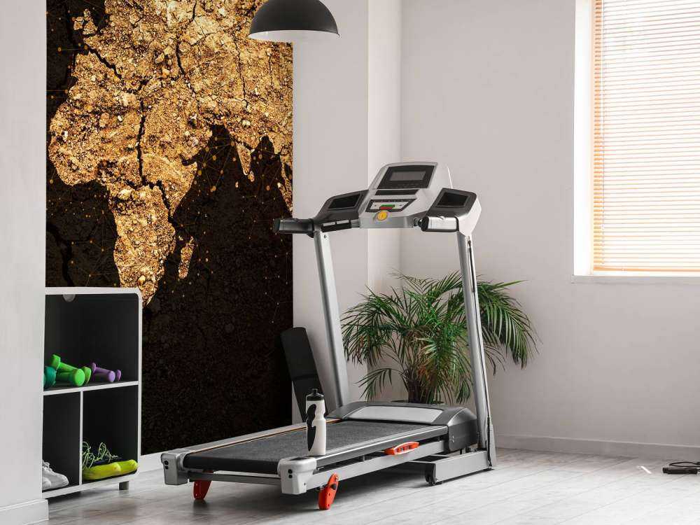 Gyllene världskarta