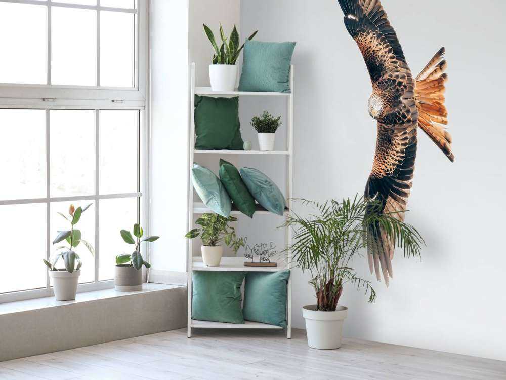 Röd drake med utbredda vingar