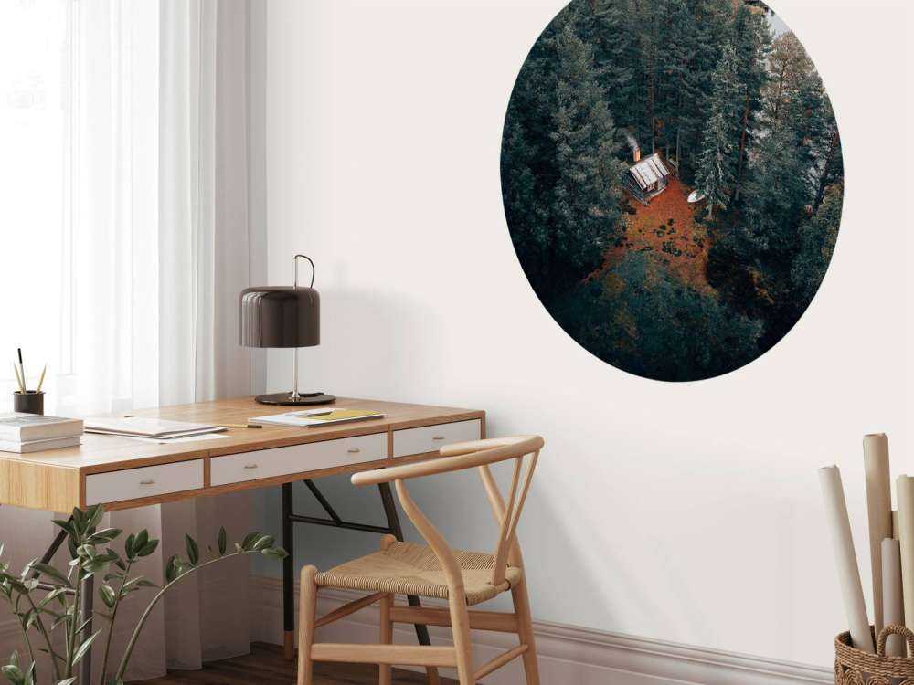 Stuga omgiven av skog och sjöar