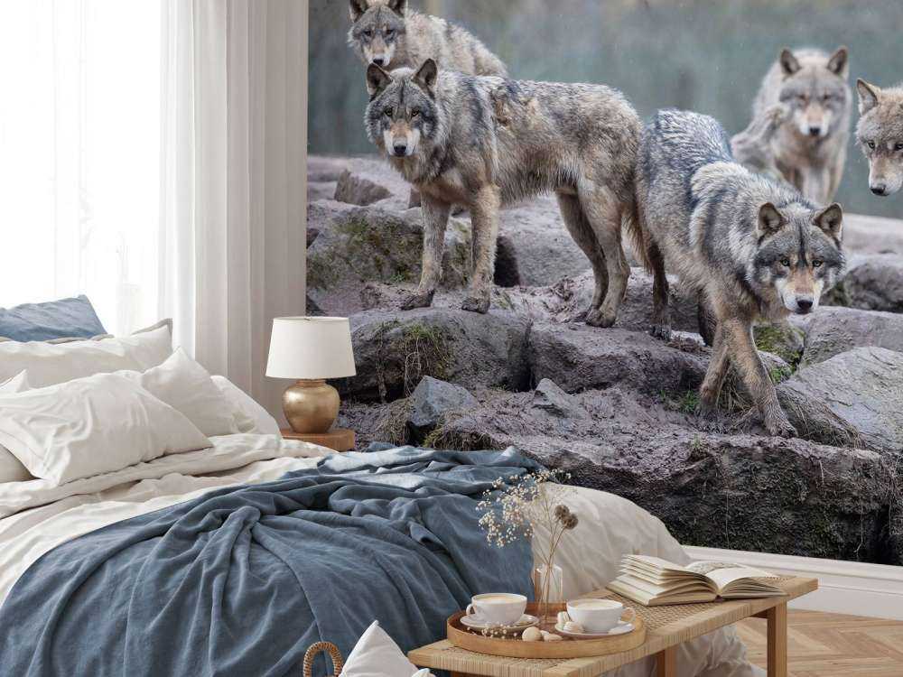Skogsväktare Skymning