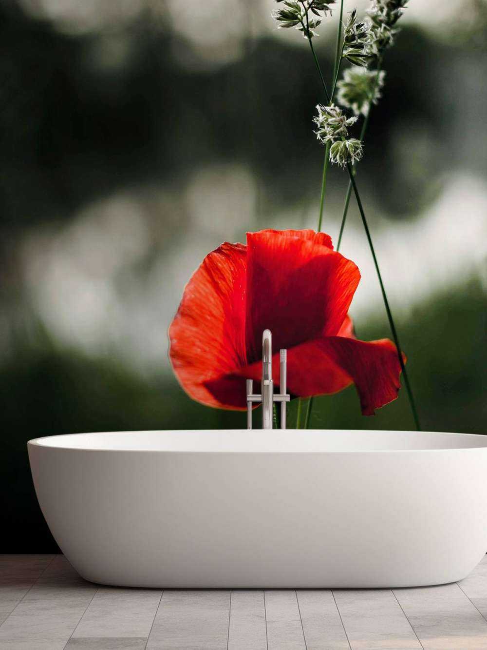 Rød valmue med gress