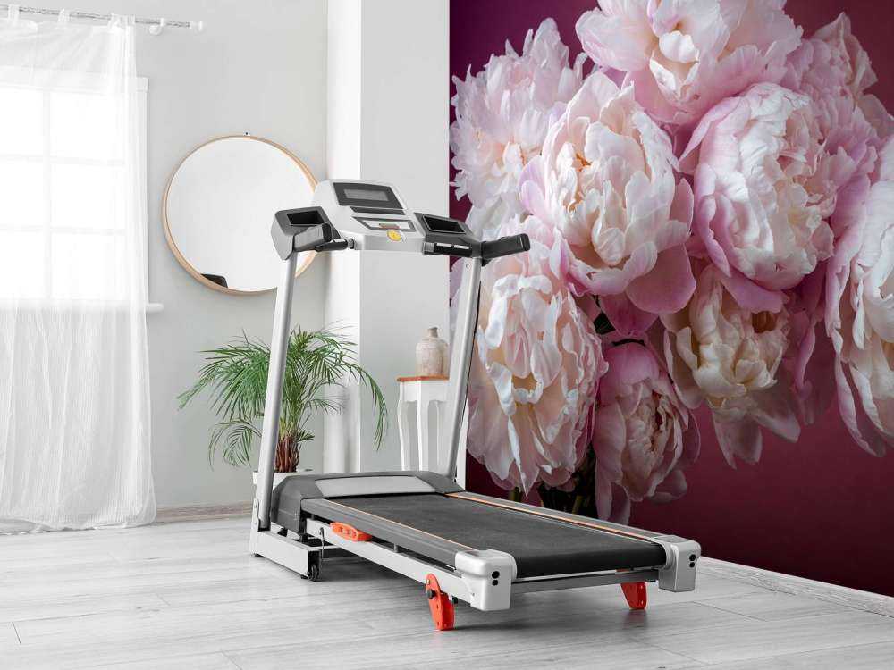 haug med rosa peoner