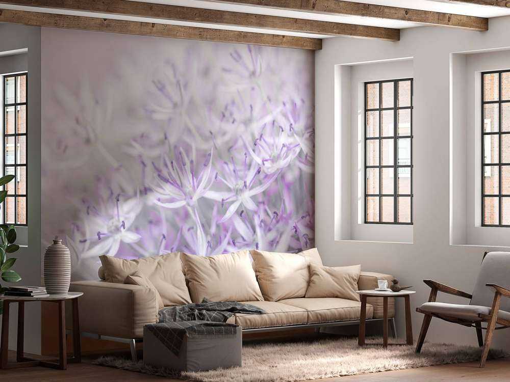 Allium blomster nærbilde