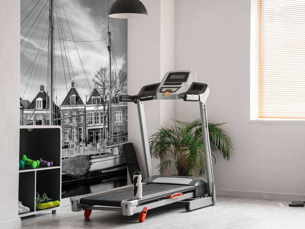 Befestet by Dokkum Frieslan