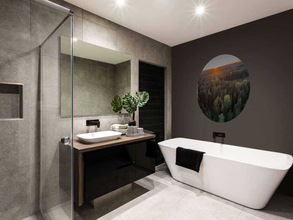 Luftfoto av høsttrær