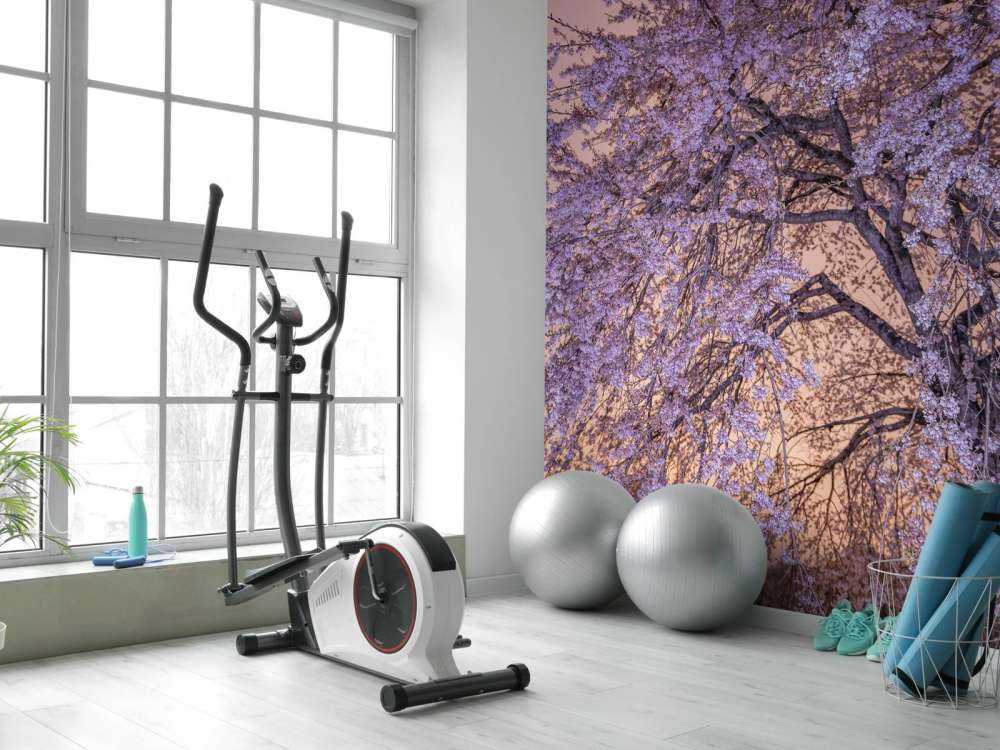 Blomstrer ved solnedgang